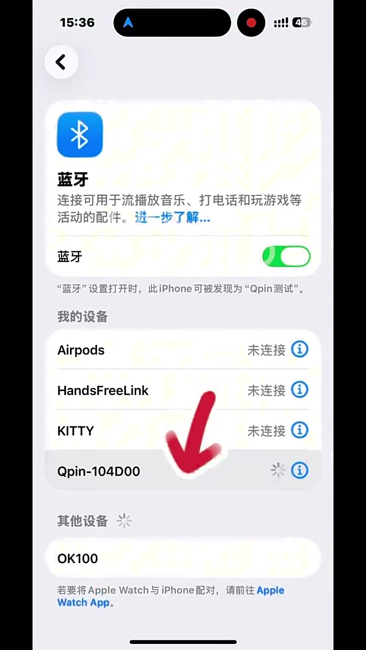 iPhone 藍牙設定中顯示 Qpin 裝置的 QPin 教學影片截圖
